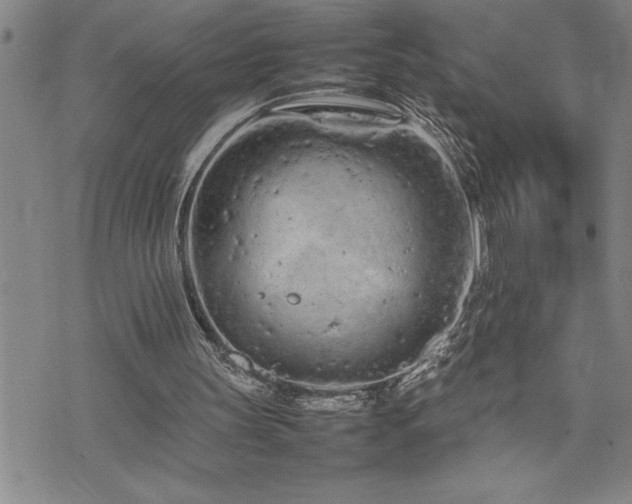 X0000074930147200609011059