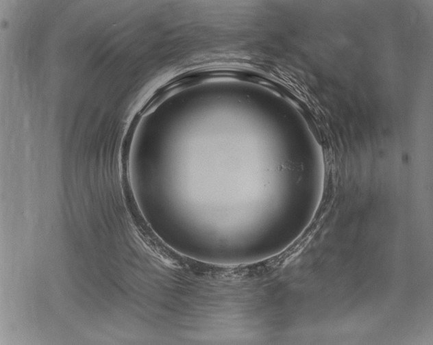 X0000074930148200609011059