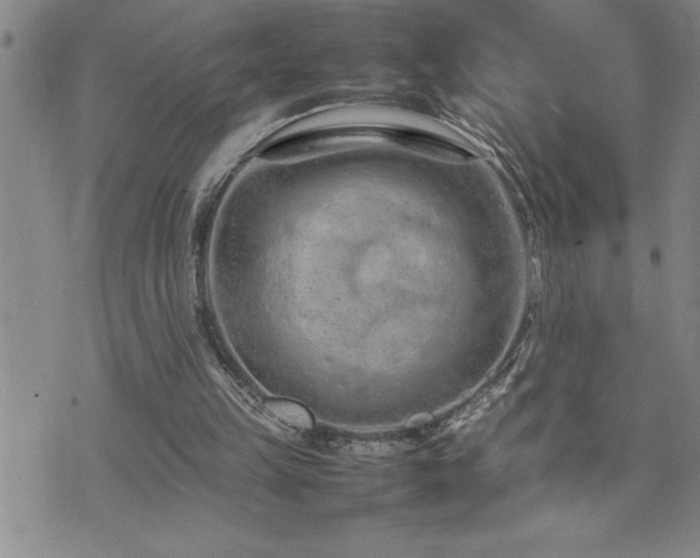 X0000074930149200609011059