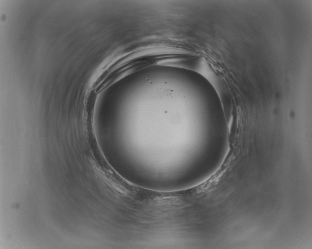 X0000074930150200609011059