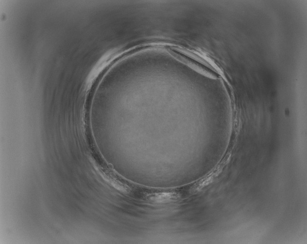 X0000074930151200609011059