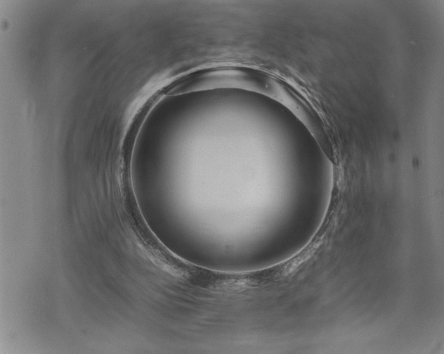 X0000074930152200609011059