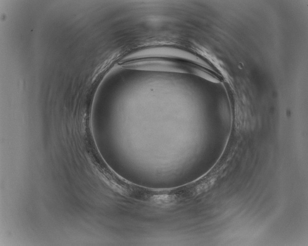 X0000074930153200609011059