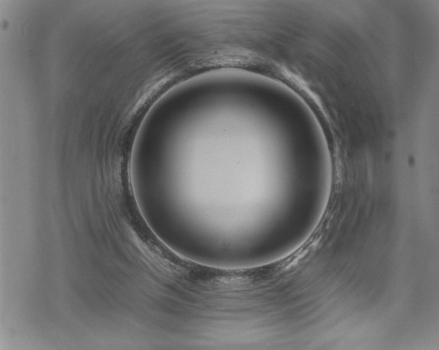 X0000074930154200609011059