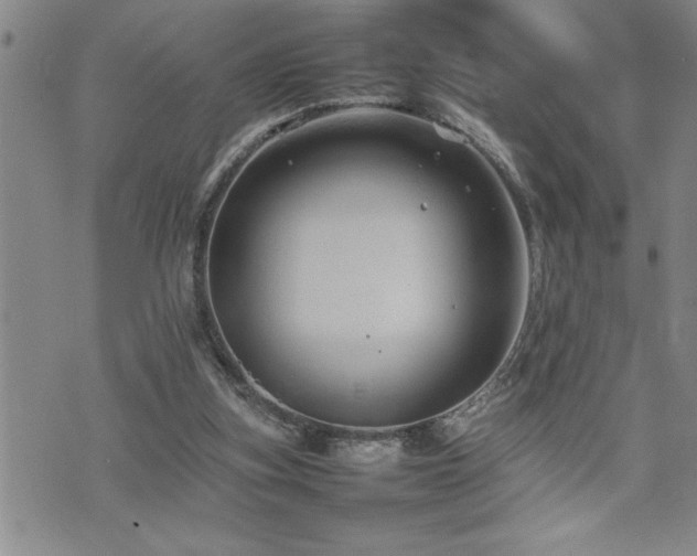 X0000074930155200609011059