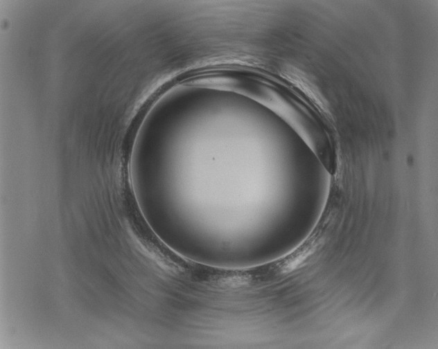 X0000074930156200609011059