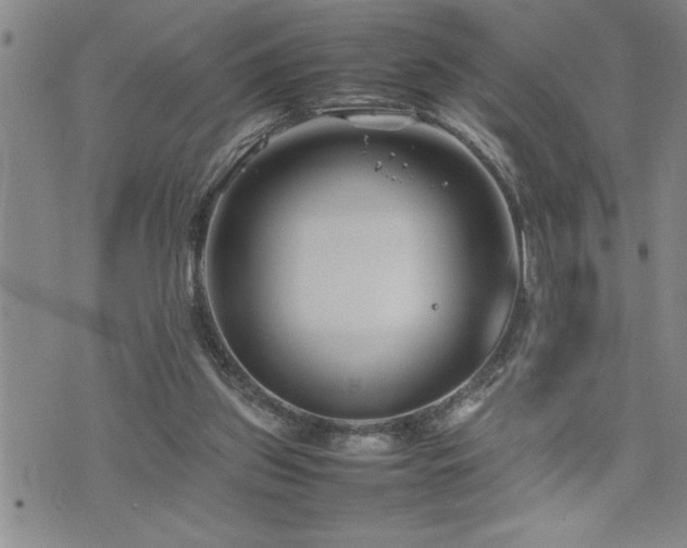 X0000074930157200609011059