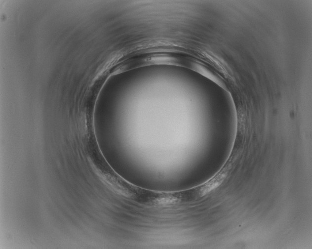 X0000074930158200609011059