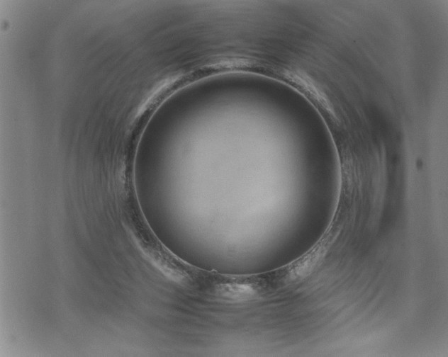 X0000074930159200609011059