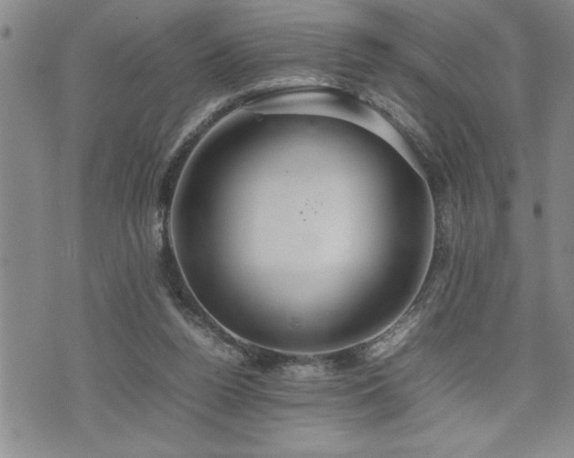 X0000074930160200609011059