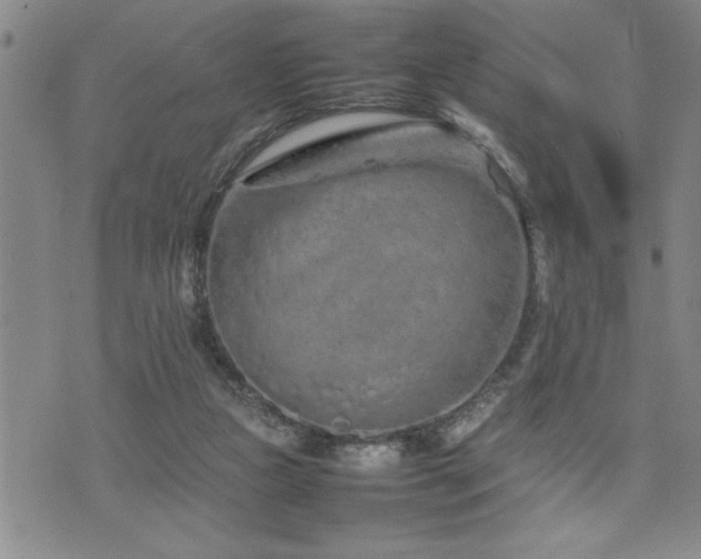 X0000074930161200609011059