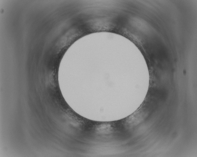 X0000074930162200609011059