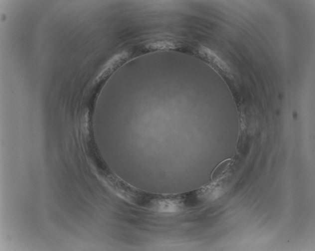 X0000074930163200609011059