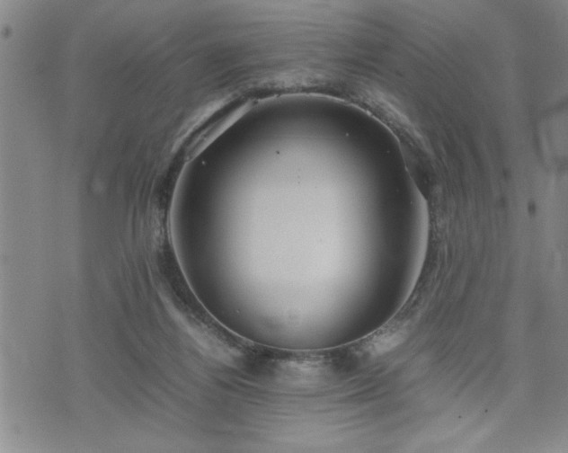 X0000074930164200609011059