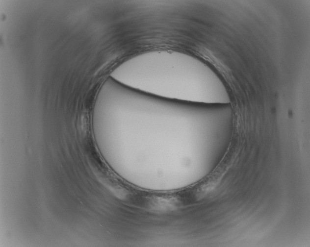 X0000074930165200609011059