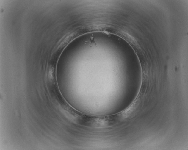 X0000074930166200609011059