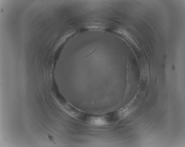 X0000074930167200609011059