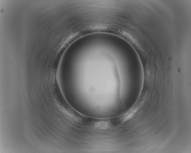 X0000074930168200609011059