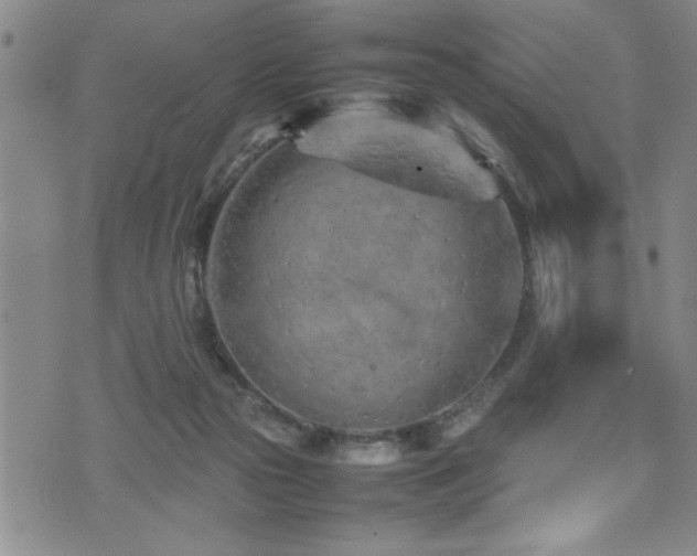 X0000074930169200609011059