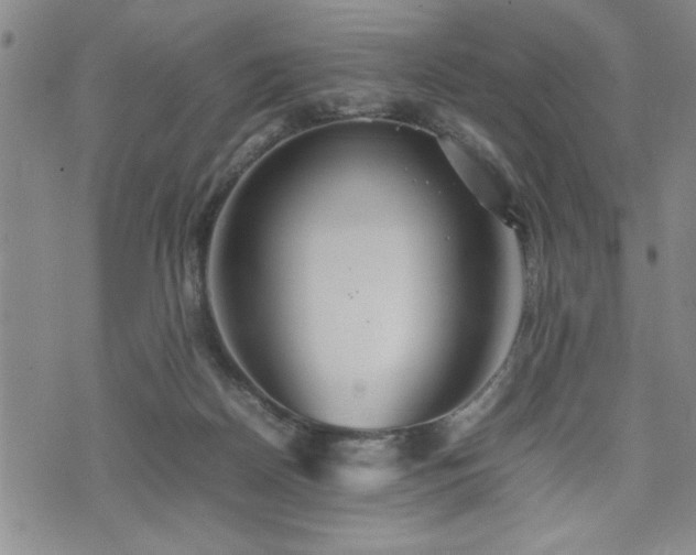 X0000074930170200609011059