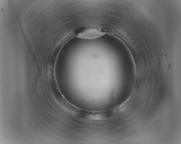 X0000074930171200609011059