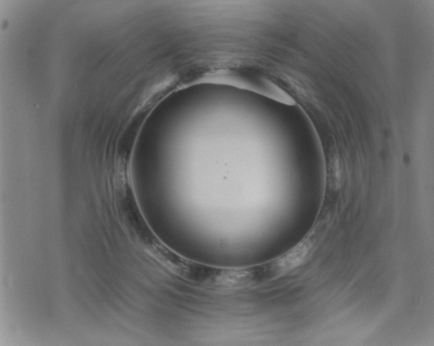 X0000074930172200609011059