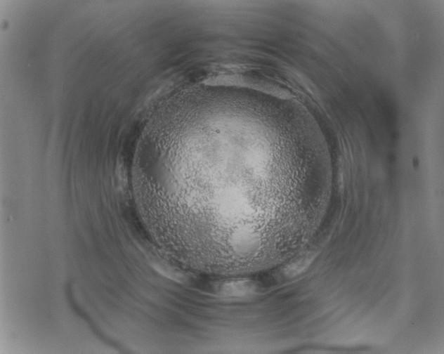 X0000074930173200609011059