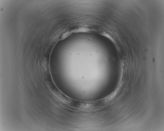 X0000074930174200609011059