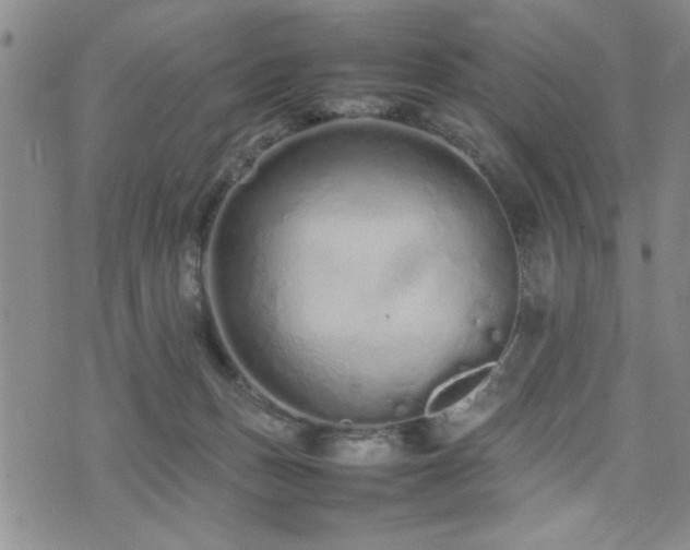 X0000074930175200609011059