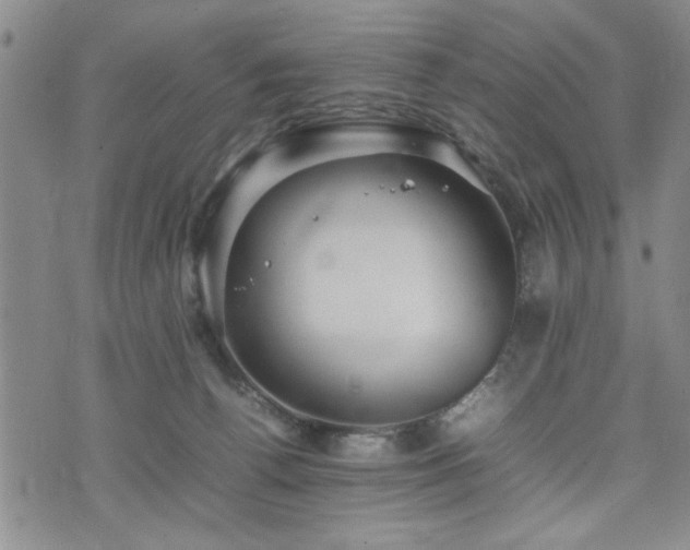 X0000074930176200609011059