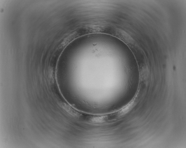 X0000074930178200609011100