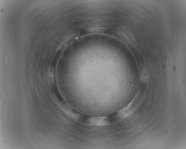 X0000074930179200609011100