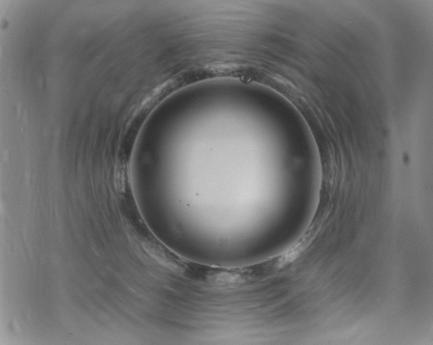 X0000074930180200609011100