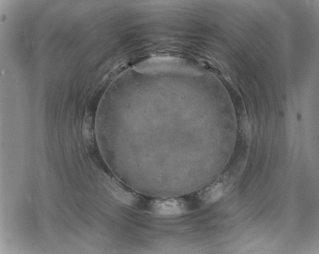 X0000074930181200609011100