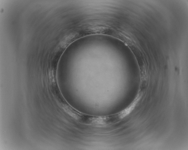 X0000074930182200609011100