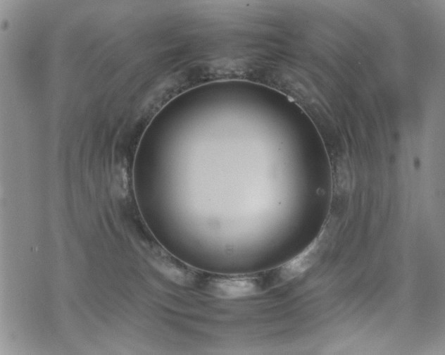 X0000074930183200609011100