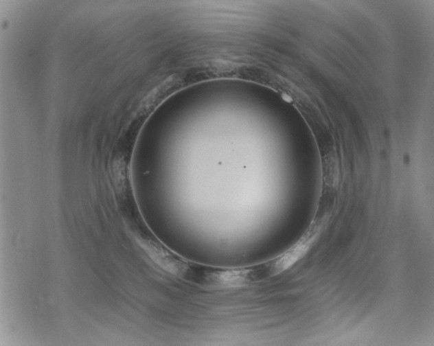 X0000074930184200609011100