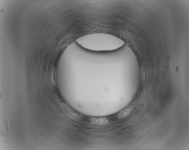 X0000074930185200609011100