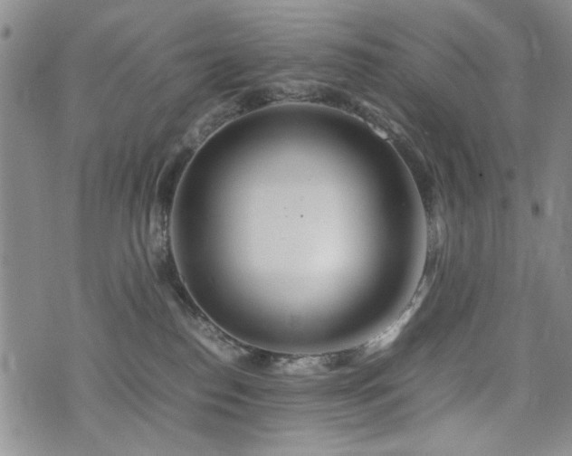 X0000074930186200609011100