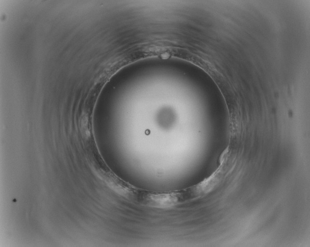 X0000074930187200609011100