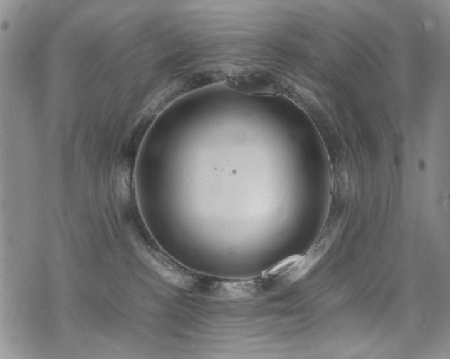 X0000074930188200609011100