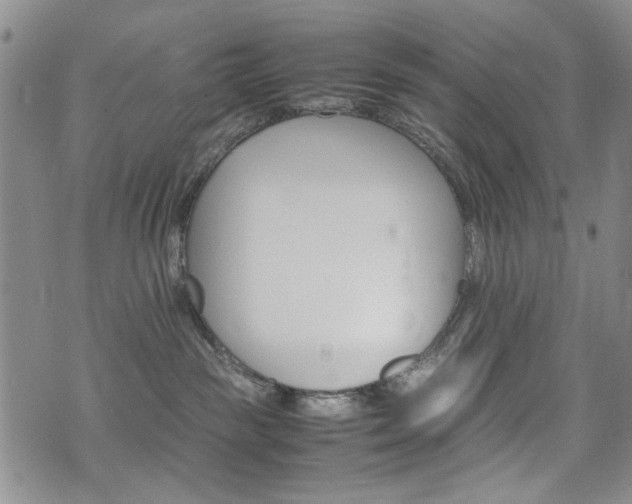 X0000074930189200609011100