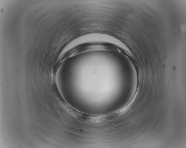 X0000074930190200609011100