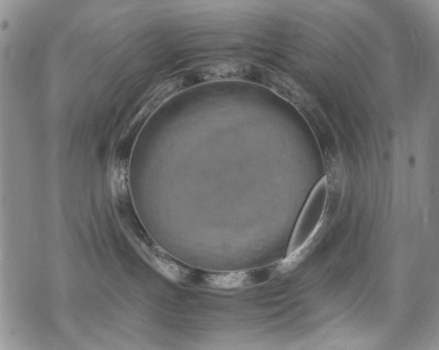 X0000074930191200609011100