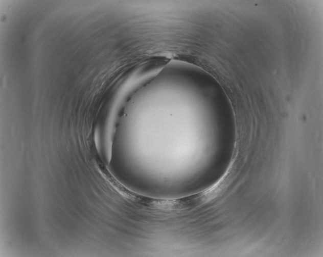 X0000074930192200609011100