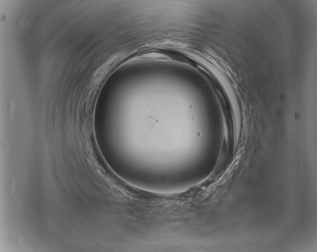 X0000074930193200609011059