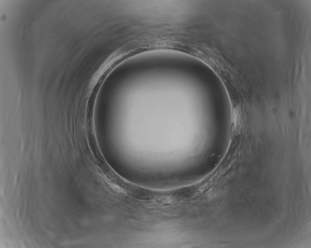 X0000074930195200609011059