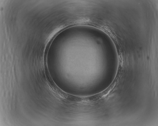 X0000074930196200609011059