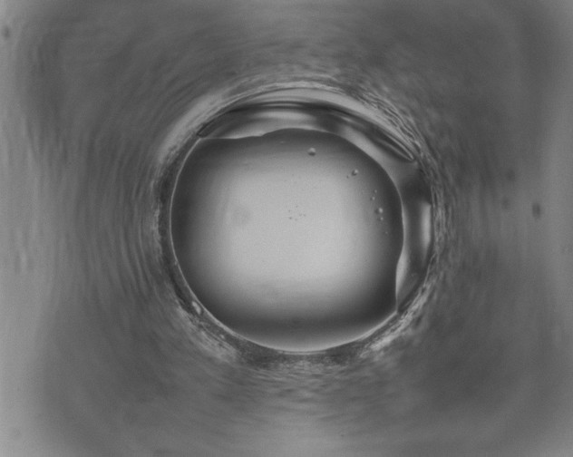 X0000074930197200609011059