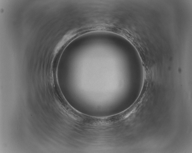 X0000074930198200609011059